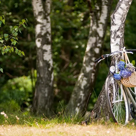 Ferrari, Le Betulle 2*